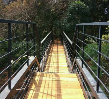 Forest Neighbourhood Project at Calicut University, Malappuram